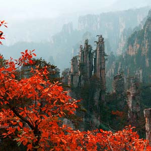 休閑自駕E線：張家界、袁家界、天子山、寶峰湖、鳳凰古城、沱江泛舟四晚五日游