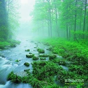 【純玩散拼尊享系列3】張家界、天子山、袁家界、黃龍洞、鳳凰三晚四日游
